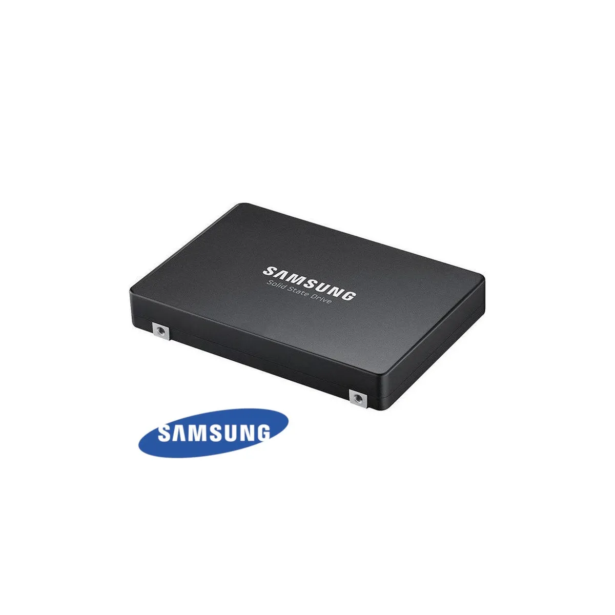 NetApp Samsung (SM-ILS800B) - 960GB PM1635a (SFF 2.5in) SAS-3 12G SSD